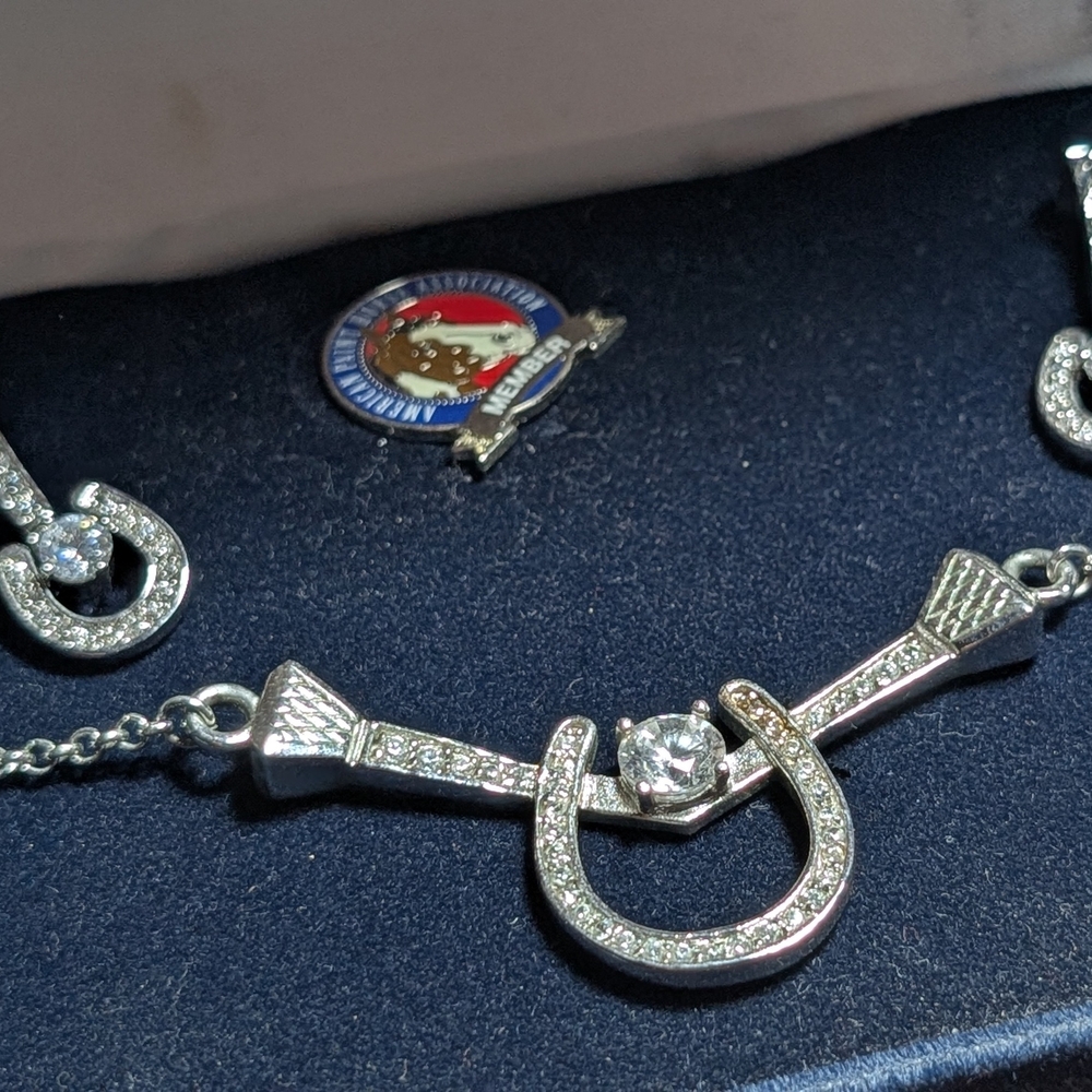 Montana Silversmith Necklace and Earring Set